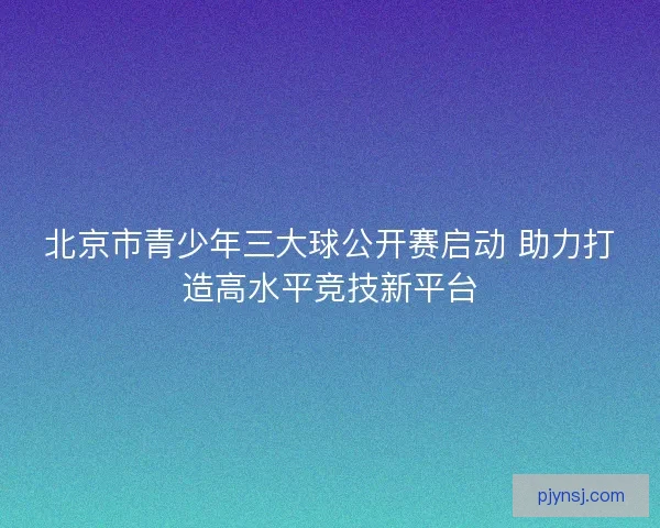 北京市青少年三大球公开赛启动 助力打造高水平竞技新平台