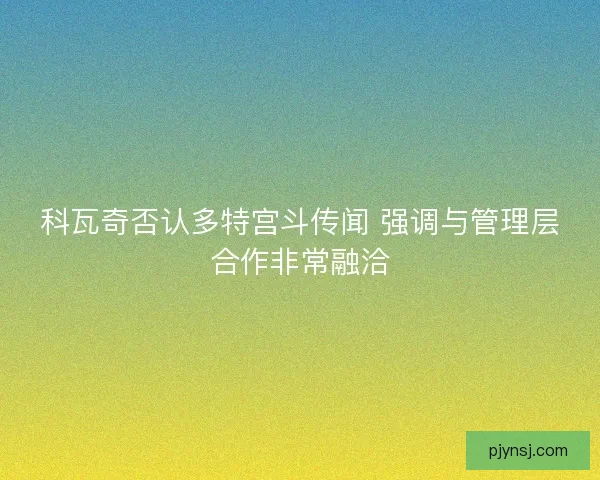 科瓦奇否认多特宫斗传闻 强调与管理层合作非常融洽