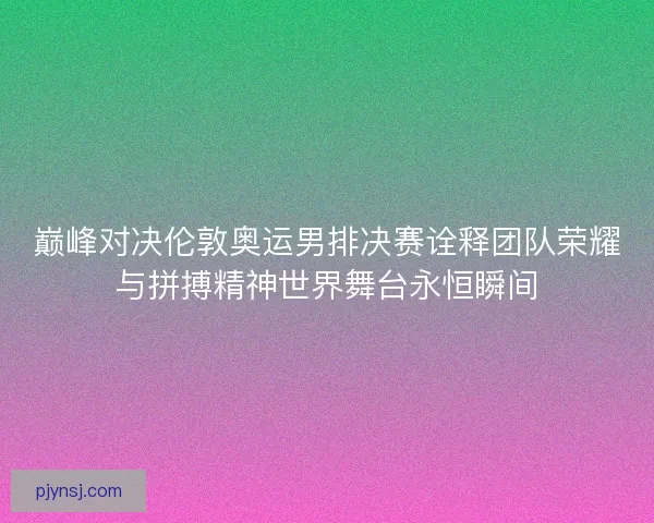 巅峰对决伦敦奥运男排决赛诠释团队荣耀与拼搏精神世界舞台永恒瞬间