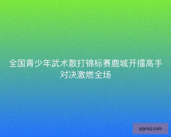 全国青少年武术散打锦标赛鹿城开擂高手对决激燃全场
