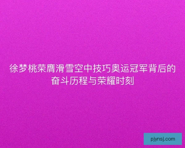 徐梦桃荣膺滑雪空中技巧奥运冠军背后的奋斗历程与荣耀时刻