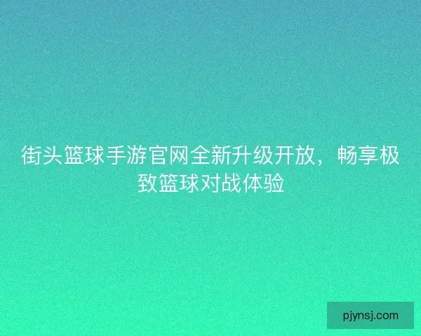 街头篮球手游官网全新升级开放，畅享极致篮球对战体验