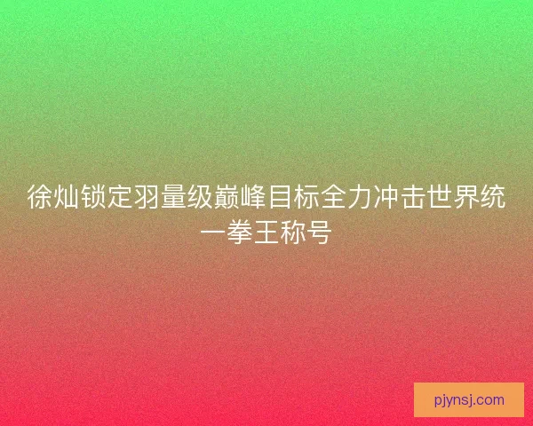 徐灿锁定羽量级巅峰目标全力冲击世界统一拳王称号